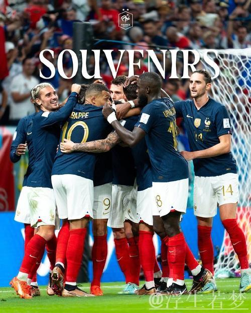 苏迪曼杯小组赛：法国迎战澳大利亚